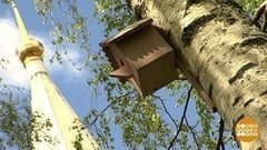 Вятское: живой музей. Доброе утро. Фрагмент выпуска от 27.06.2017