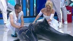 Лера Кудрявцева. Выступление. Вместе с дельфинами. Фрагмент выпуска от 03.10.2015