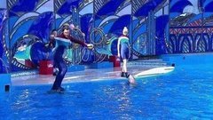 Алла Михеева и Максим Маринин. Парный проезд. Выступление. Вместе с дельфинами. Фрагмент выпуска от 17.10.2015