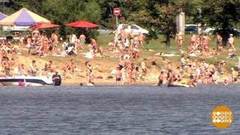 И в море есть вирусы! Доброе утро. Фрагмент выпуска от 15.08.2018