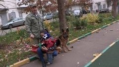 Защитить ребенка от собаки