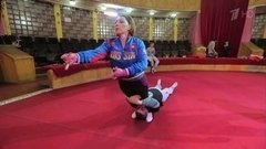 Роза Сябитова и Дмитрий Сорокин. Профайл. Без страховки. Фрагмент выпуска от 31.01.2016