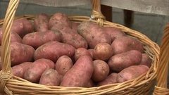Картофель прошлого урожая: как обманывают покупателей. Контрольная закупка. Фрагмент выпуска от 20.04.2016