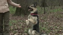 Танцуют все! Доброе утро. Фрагмент выпуска от 29.04.2016