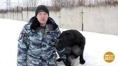 Собаки на пенсии. Доброе утро. Фрагмент выпуска от 28.02.2017