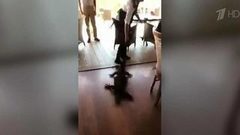 В Австралии храбрая официантка выдворила из кафе крупного варана. Хиты интернета