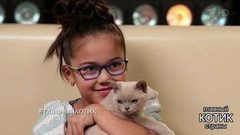Кошачья мечта участницы шоу «Лучше всех!». Главный котик страны. Фрагмент выпуска от 22.10.2017