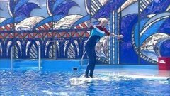 Антон Привольнов. Выступление. Вместе с дельфинами. Фрагмент выпуска от 10.10.2015