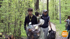 Генеральная уборка… в лесу. Доброе утро. Фрагмент выпуска от 20.04.2018