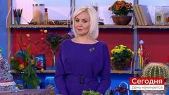 Прогноз дня от Василисы Володиной. Усиливаем влияние Сатурна. Сегодня. День начинается. Фрагмент выпуска от 14.03.2019