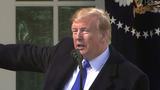 Премьер-министр Японии Синдзо Абэ выдвинул Дональда Трампа на Нобелевскую премию мира